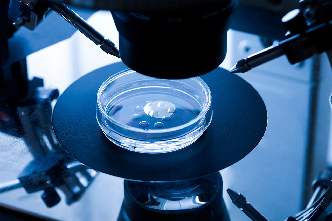 ivf in Turkey